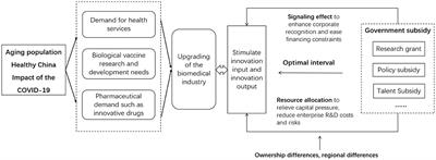 Impact of government subsidies on innovation of Chinese biopharmaceutical firms: Based on kink threshold model